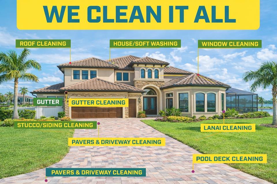 Cleaning professional